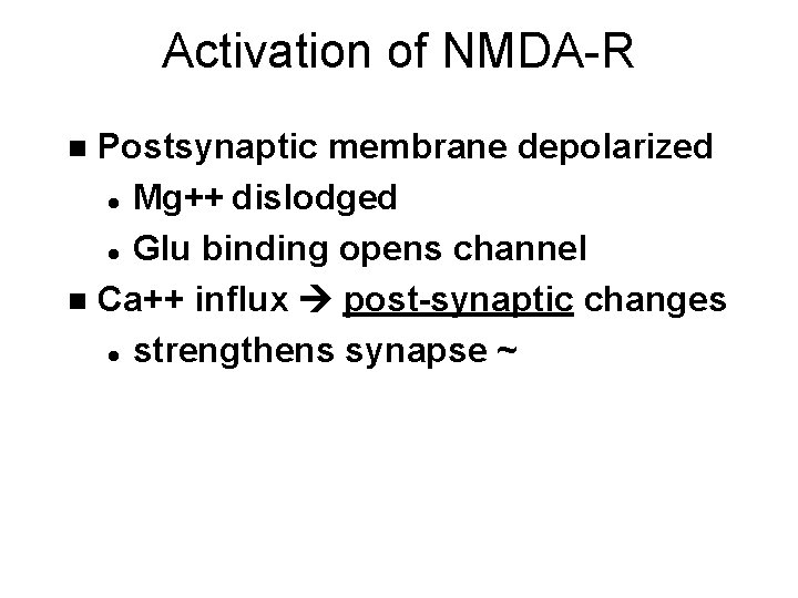 Activation of NMDA-R Postsynaptic membrane depolarized l Mg++ dislodged l Glu binding opens channel