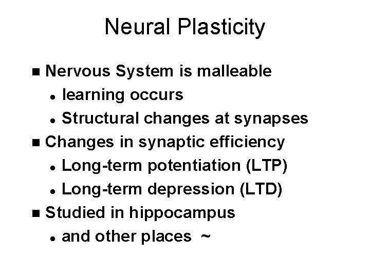 Neural Plasticity Nervous System is malleable l learning occurs l Structural changes at synapses