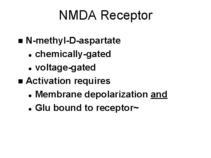 NMDA Receptor N-methyl-D-aspartate l chemically-gated l voltage-gated n Activation requires l Membrane depolarization and