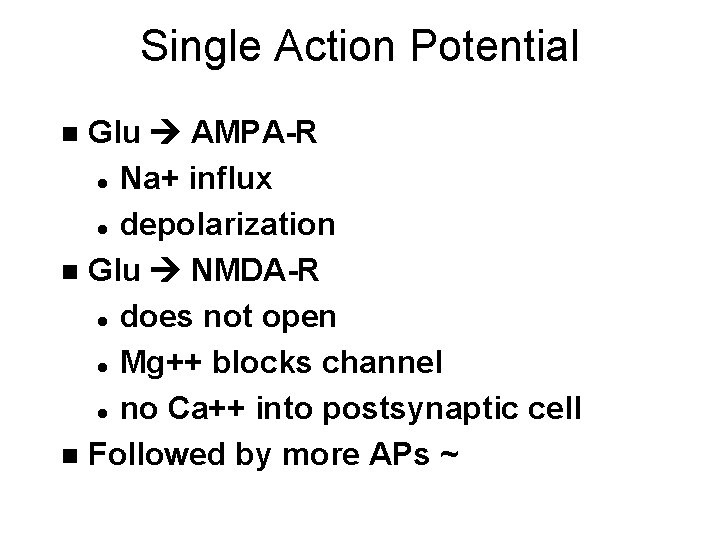 Single Action Potential Glu AMPA-R l Na+ influx l depolarization n Glu NMDA-R l