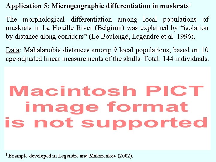 Application 5: Microgeographic differentiation in muskrats 1 The morphological differentiation among local populations of