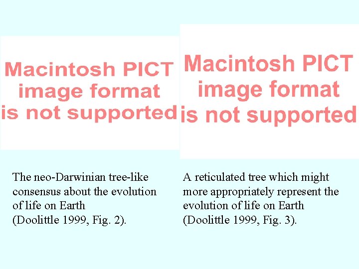 The neo-Darwinian tree-like consensus about the evolution of life on Earth (Doolittle 1999, Fig.