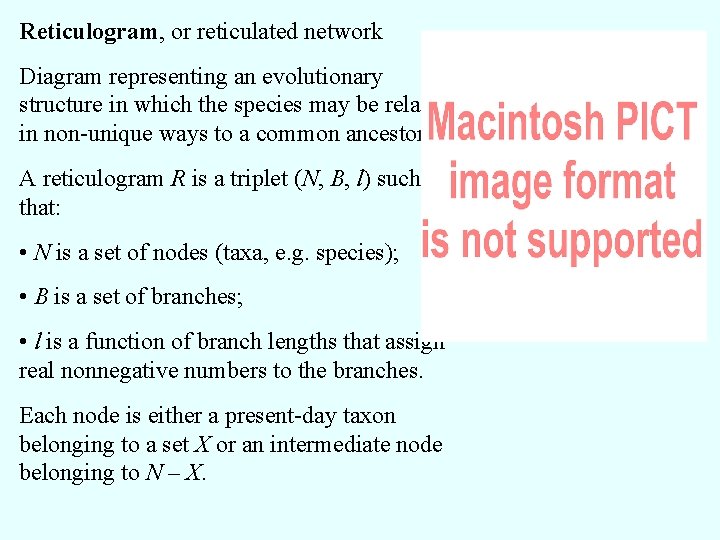 Reticulogram, or reticulated network Diagram representing an evolutionary structure in which the species may