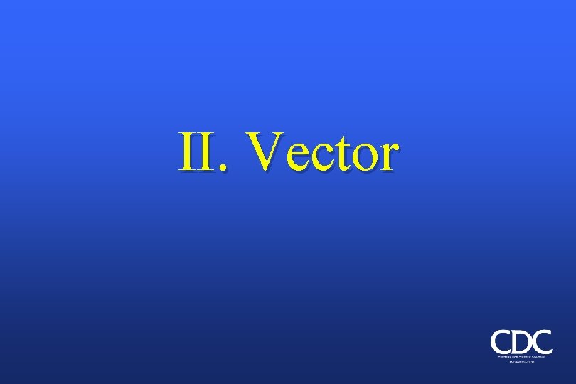 II. Vector 