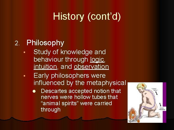 History (cont’d) Philosophy 2. • • Study of knowledge and behaviour through logic, intuition, History (cont’d) Philosophy 2. • • Study of knowledge and behaviour through logic, intuition,
