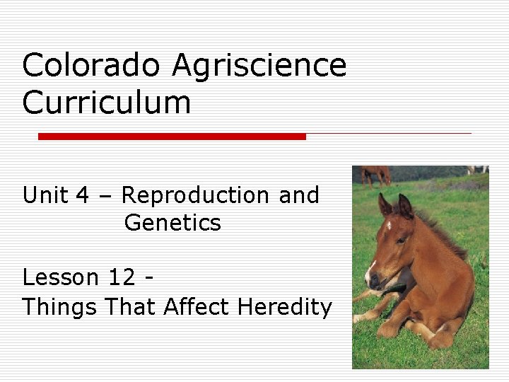 Colorado Agriscience Curriculum Unit 4 – Reproduction and Genetics Lesson 12 Things That Affect