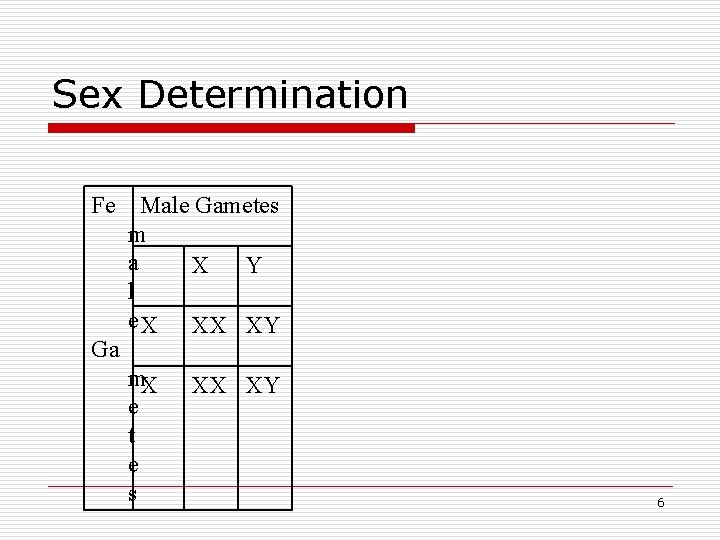 Sex Determination Fe Ga Male Gametes m a X Y l e X XX