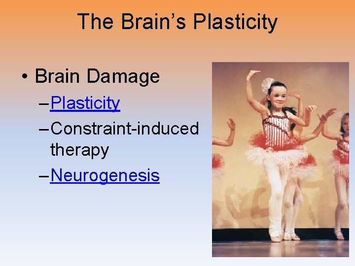 The Brain’s Plasticity • Brain Damage – Plasticity – Constraint-induced therapy – Neurogenesis 