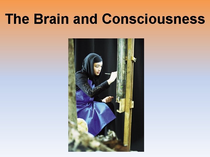 The Brain and Consciousness 