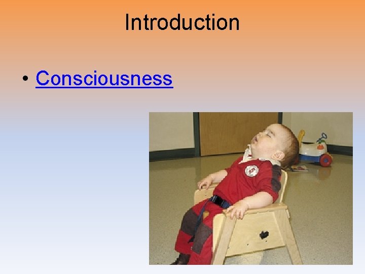 Introduction • Consciousness 