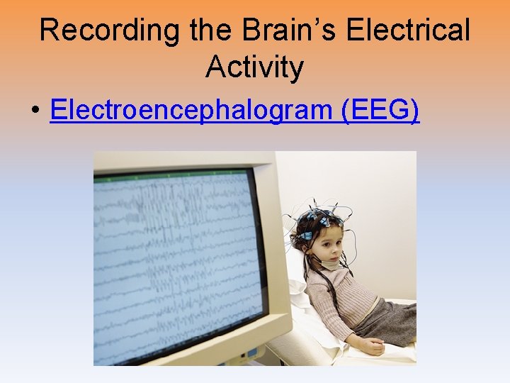 Recording the Brain’s Electrical Activity • Electroencephalogram (EEG) 