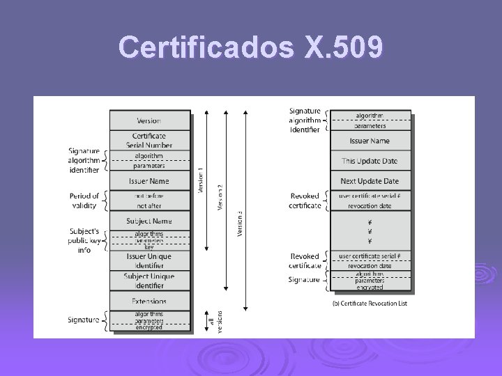 Certificados X. 509 