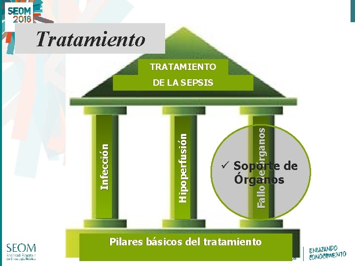 Tratamiento TRATAMIENTO Fallo de órganos Hipoperfusión Infección DE LA SEPSIS ü Soporte de Órganos