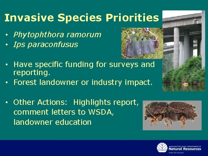 Invasive Species Priorities • Phytophthora ramorum • Ips paraconfusus • Have specific funding for Invasive Species Priorities • Phytophthora ramorum • Ips paraconfusus • Have specific funding for