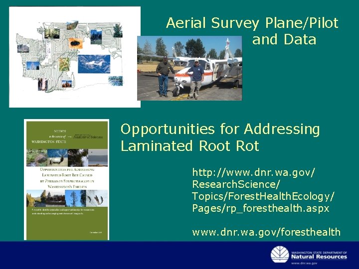 Aerial Survey Plane/Pilot and Data Opportunities for Addressing Laminated Root Rot http: //www. dnr. Aerial Survey Plane/Pilot and Data Opportunities for Addressing Laminated Root Rot http: //www. dnr.