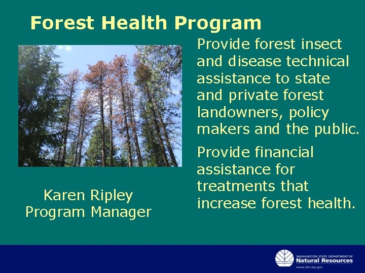 Forest Health Program Provide forest insect and disease technical assistance to state and private Forest Health Program Provide forest insect and disease technical assistance to state and private