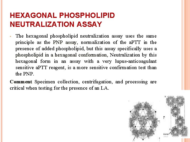 HEXAGONAL PHOSPHOLIPID NEUTRALIZATION ASSAY The hexagonal phospholipid neutralization assay uses the same principle as