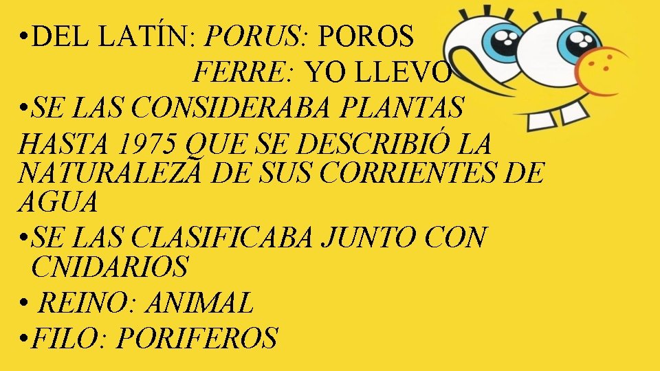  • DEL LATÍN: PORUS: POROS FERRE: YO LLEVO • SE LAS CONSIDERABA PLANTAS