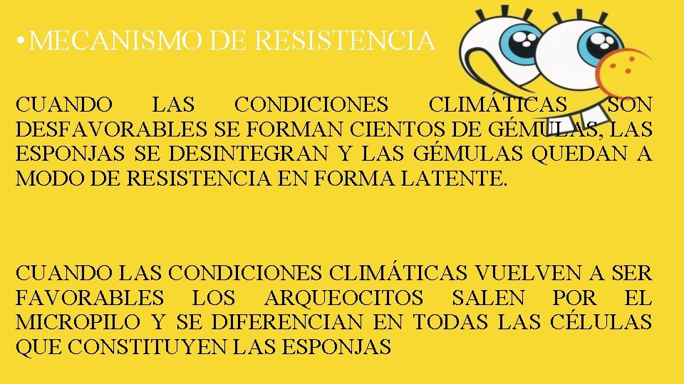 • MECANISMO DE RESISTENCIA CUANDO LAS CONDICIONES CLIMÁTICAS SON DESFAVORABLES SE FORMAN CIENTOS • MECANISMO DE RESISTENCIA CUANDO LAS CONDICIONES CLIMÁTICAS SON DESFAVORABLES SE FORMAN CIENTOS