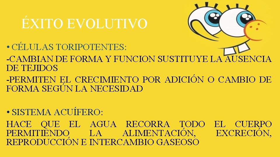 ÉXITO EVOLUTIVO • CÉLULAS TORIPOTENTES: -CAMBIAN DE FORMA Y FUNCION SUSTITUYE LA AUSENCIA DE