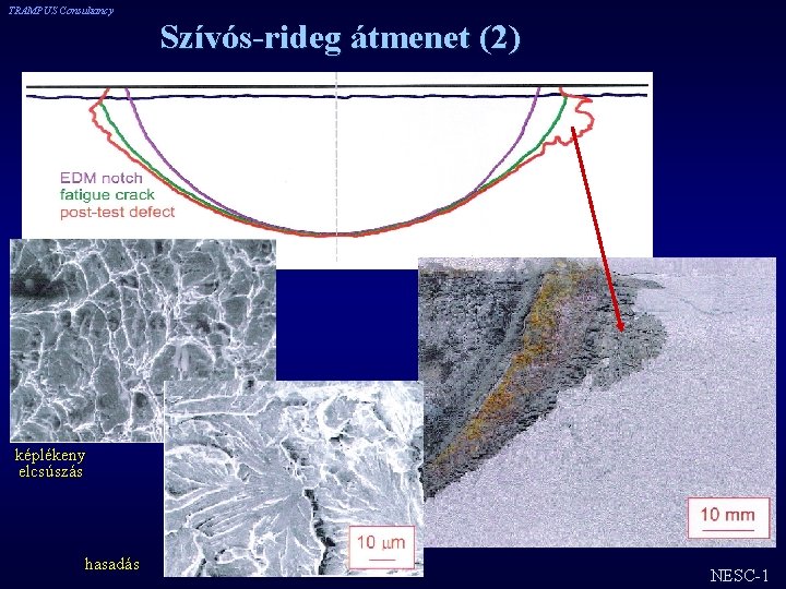 TRAMPUS Consultancy Szívós-rideg átmenet (2) képlékeny elcsúszás hasadás NESC-1 TRAMPUS Consultancy Szívós-rideg átmenet (2) képlékeny elcsúszás hasadás NESC-1