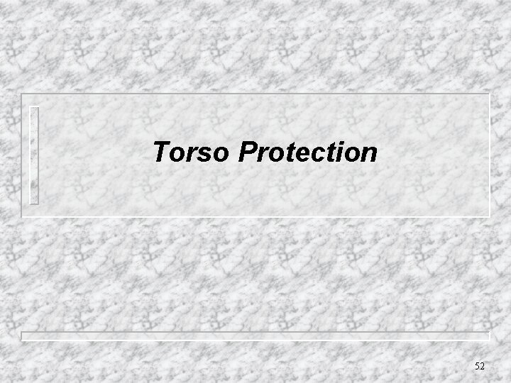 Torso Protection 52 