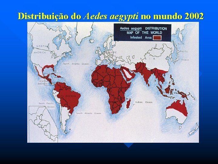Distribuição do Aedes aegypti no mundo 2002 