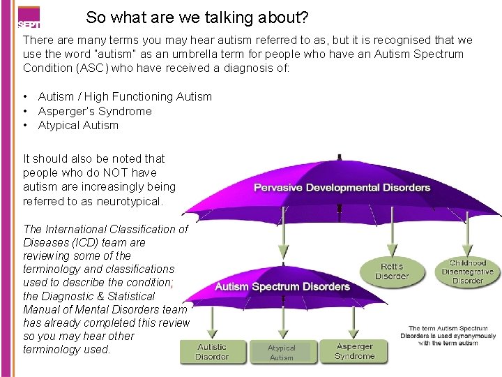 So what are we talking about? There are many terms you may hear autism