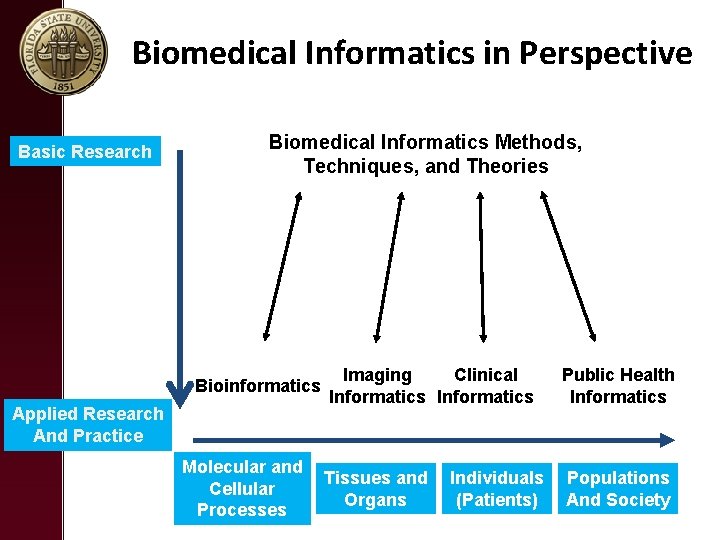 Biomedical Informatics in Perspective Basic Research Biomedical Informatics Methods, Techniques, and Theories Bioinformatics Applied