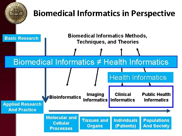 Biomedical Informatics in Perspective Basic Research Biomedical Informatics Methods, Techniques, and Theories Biomedical Informatics