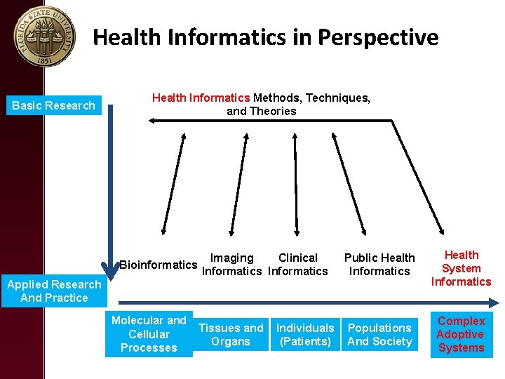 Health Informatics in Perspective Basic Research Health Informatics Methods, Techniques, and Theories Bioinformatics Imaging