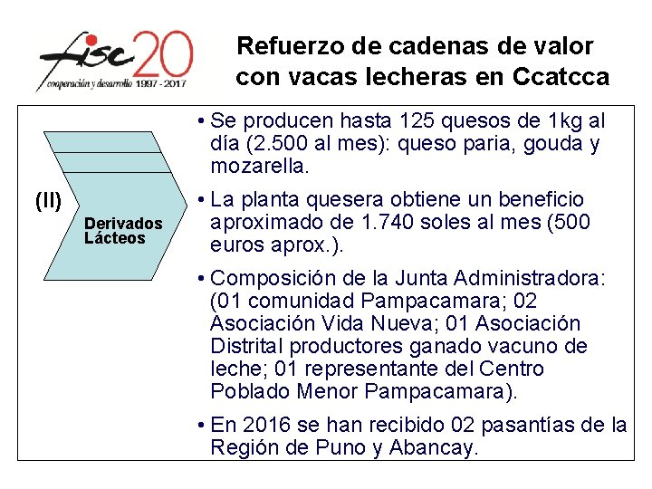 Refuerzo de cadenas de valor con vacas lecheras en Ccatcca • Se producen hasta