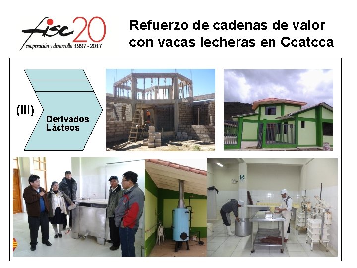 Refuerzo de cadenas de valor con vacas lecheras en Ccatcca (III) Derivados Lácteos 