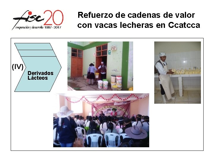 Refuerzo de cadenas de valor con vacas lecheras en Ccatcca l (IV) Derivados Lácteos