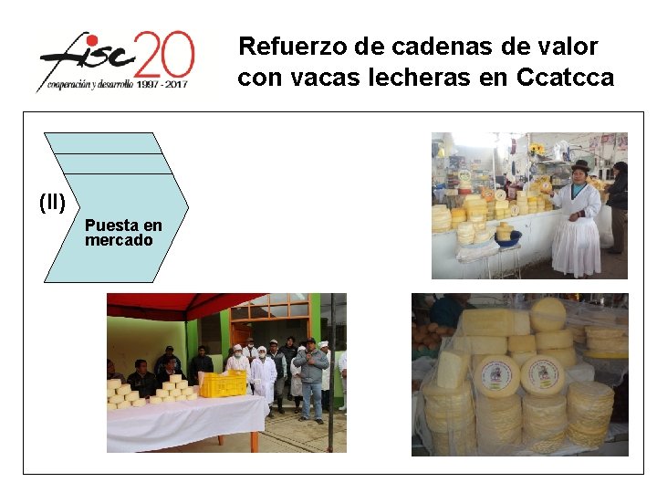 Refuerzo de cadenas de valor con vacas lecheras en Ccatcca (II) Puesta en mercado