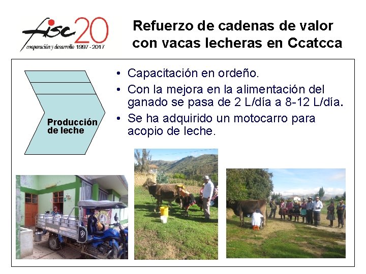 Refuerzo de cadenas de valor con vacas lecheras en Ccatcca Producción de leche • Refuerzo de cadenas de valor con vacas lecheras en Ccatcca Producción de leche •
