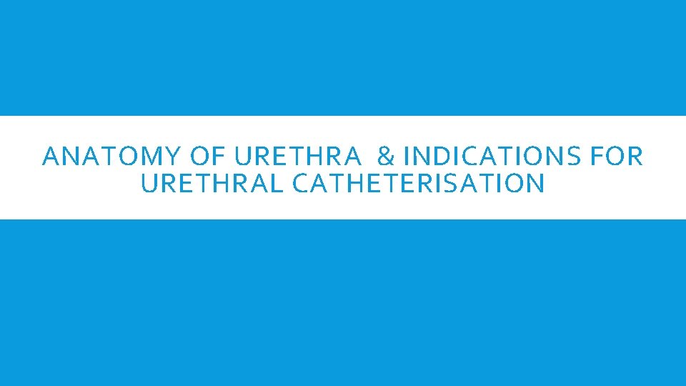 ANATOMY OF URETHRA & INDICATIONS FOR URETHRAL CATHETERISATION 