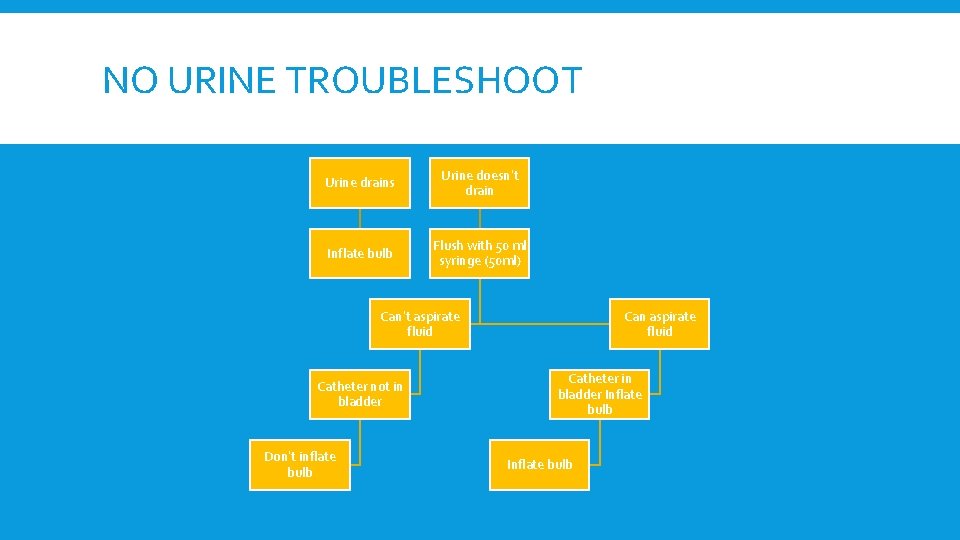 NO URINE TROUBLESHOOT Urine drains Urine doesn’t drain Inflate bulb Flush with 50 ml