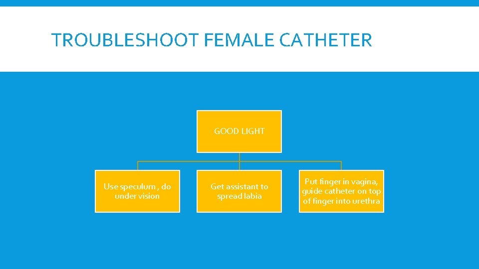 TROUBLESHOOT FEMALE CATHETER GOOD LIGHT Use speculum , do under vision Get assistant to