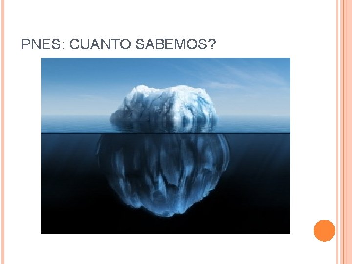 PNES: CUANTO SABEMOS? 