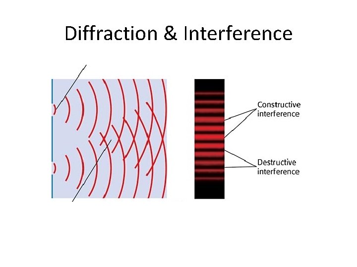 Diffraction & Interference 