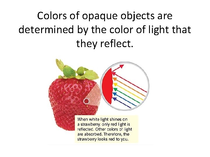 Colors of opaque objects are determined by the color of light that they reflect.