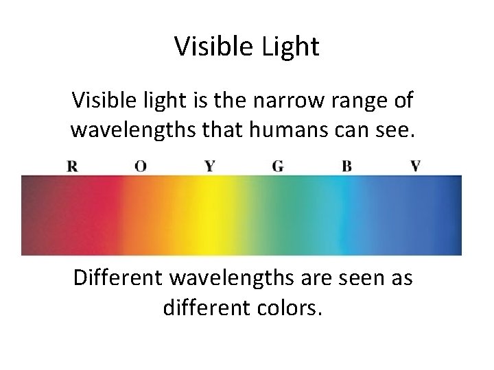 Visible Light Visible light is the narrow range of wavelengths that humans can see.