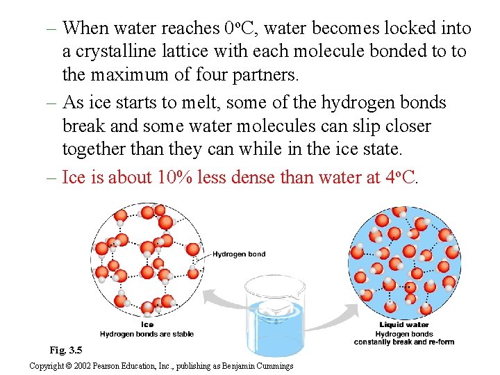 – When water reaches 0 o. C, water becomes locked into a crystalline lattice