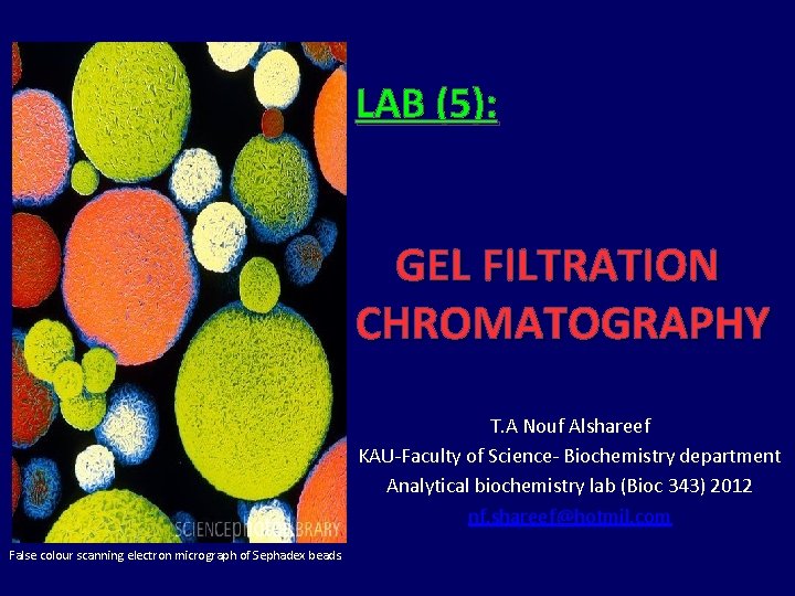 LAB (5): GEL FILTRATION CHROMATOGRAPHY T. A Nouf Alshareef KAU-Faculty of Science- Biochemistry department