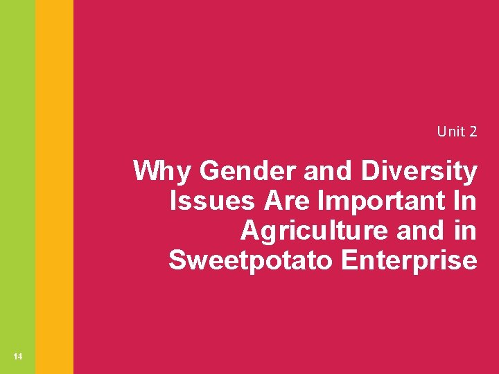 Unit 2 Why Gender and Diversity Issues Are Important In Agriculture and in Sweetpotato