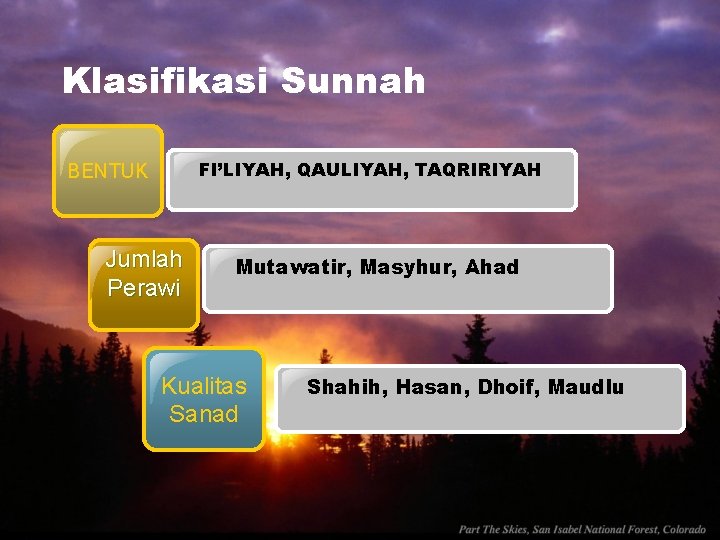 Klasifikasi Sunnah FI’LIYAH, QAULIYAH, TAQRIRIYAH BENTUK Jumlah Perawi Mutawatir, Masyhur, Ahad Kualitas Sanad Shahih,