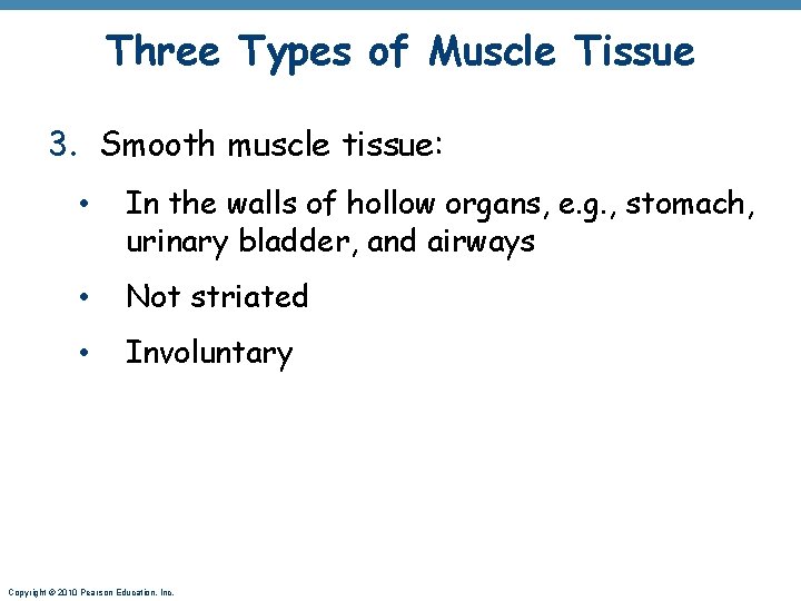 Three Types of Muscle Tissue 3. Smooth muscle tissue: • In the walls of