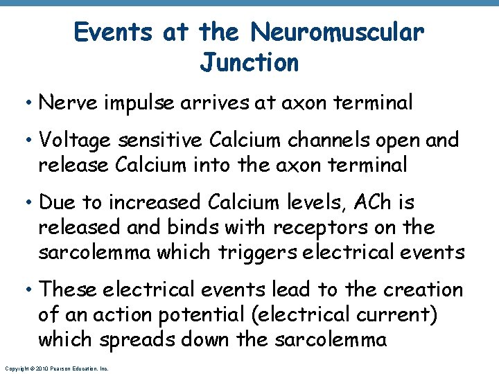 Events at the Neuromuscular Junction • Nerve impulse arrives at axon terminal • Voltage