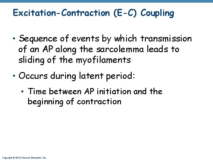 Excitation-Contraction (E-C) Coupling • Sequence of events by which transmission of an AP along